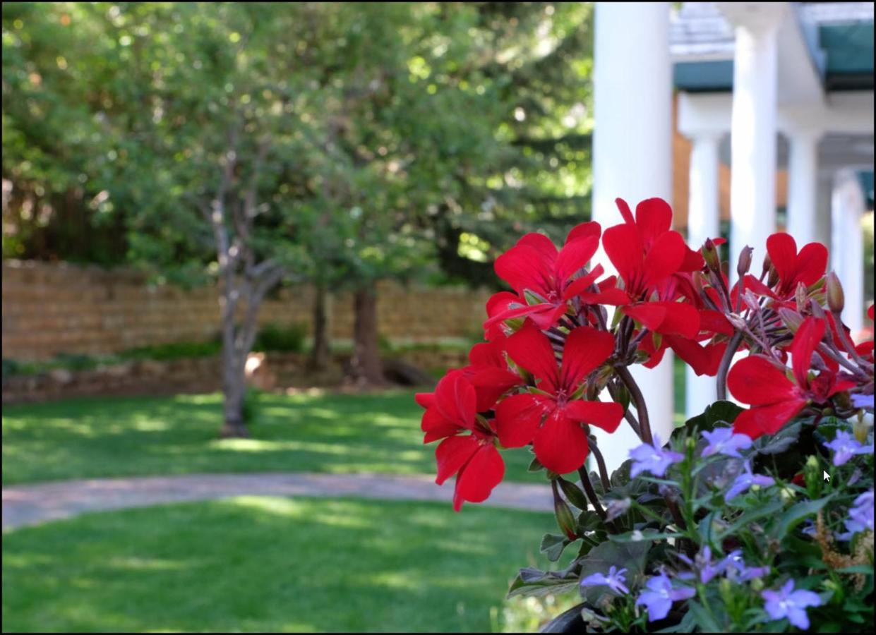 Secret Garden Bed And Breakfast Ouray Exterior photo